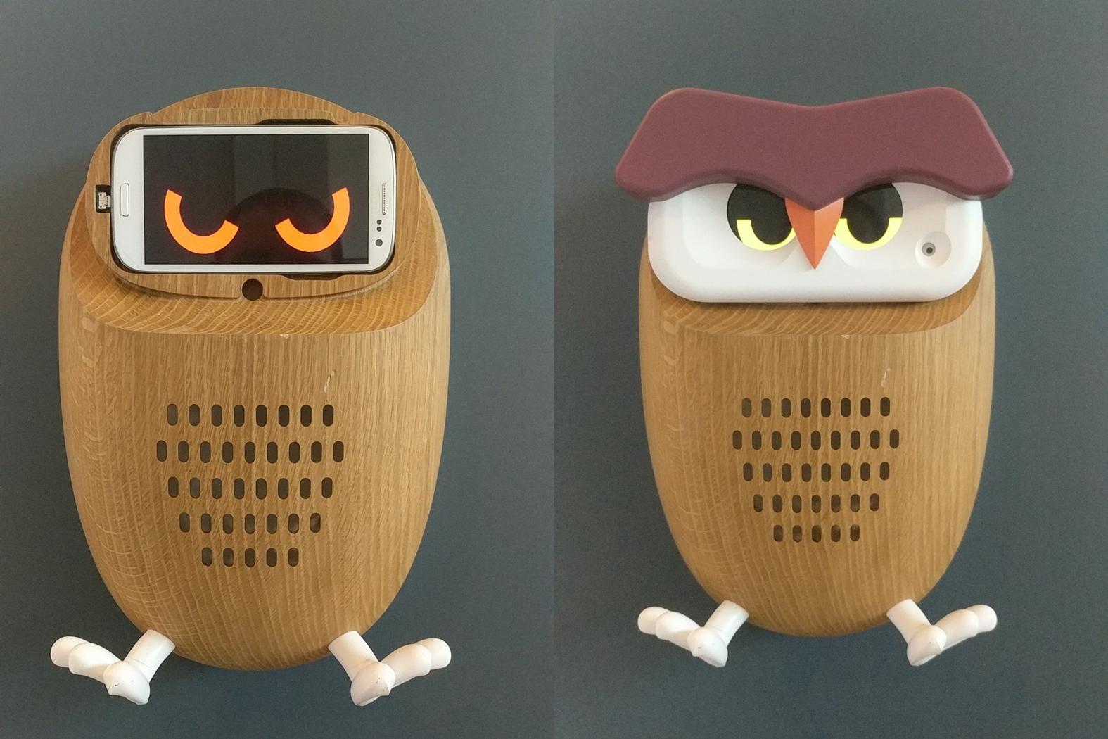 Samsung-owl-facial-recognition.jpeg