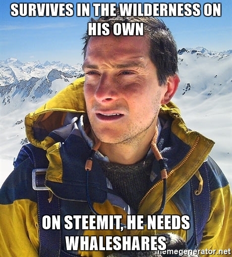 survives-in-the-wilderness-on-his-own-on-steemit-he-needs-whaleshares.jpg