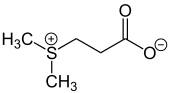 Dimethylsulfoniopropionate_Structural_Formula_V1.svg.png