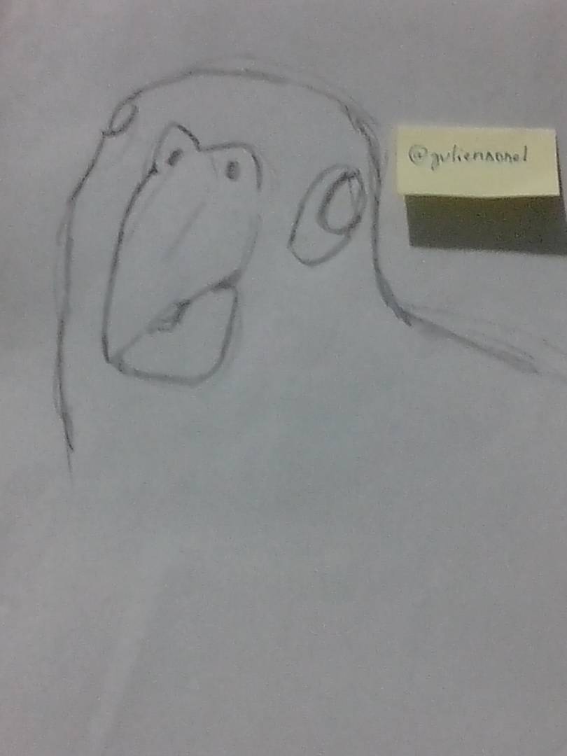 1 - loro.jpeg