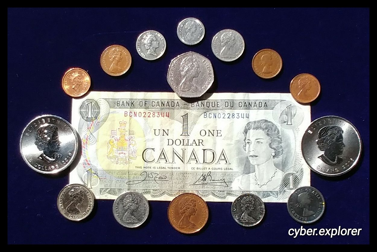 1983 One Dollar Coin ELIZABETH II CANADA Nickel K