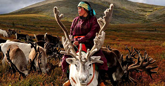 mongolian-reindeer-people.jpg