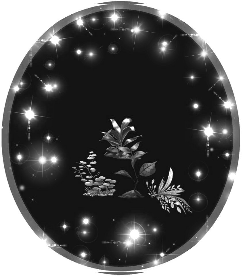 plants.jpg