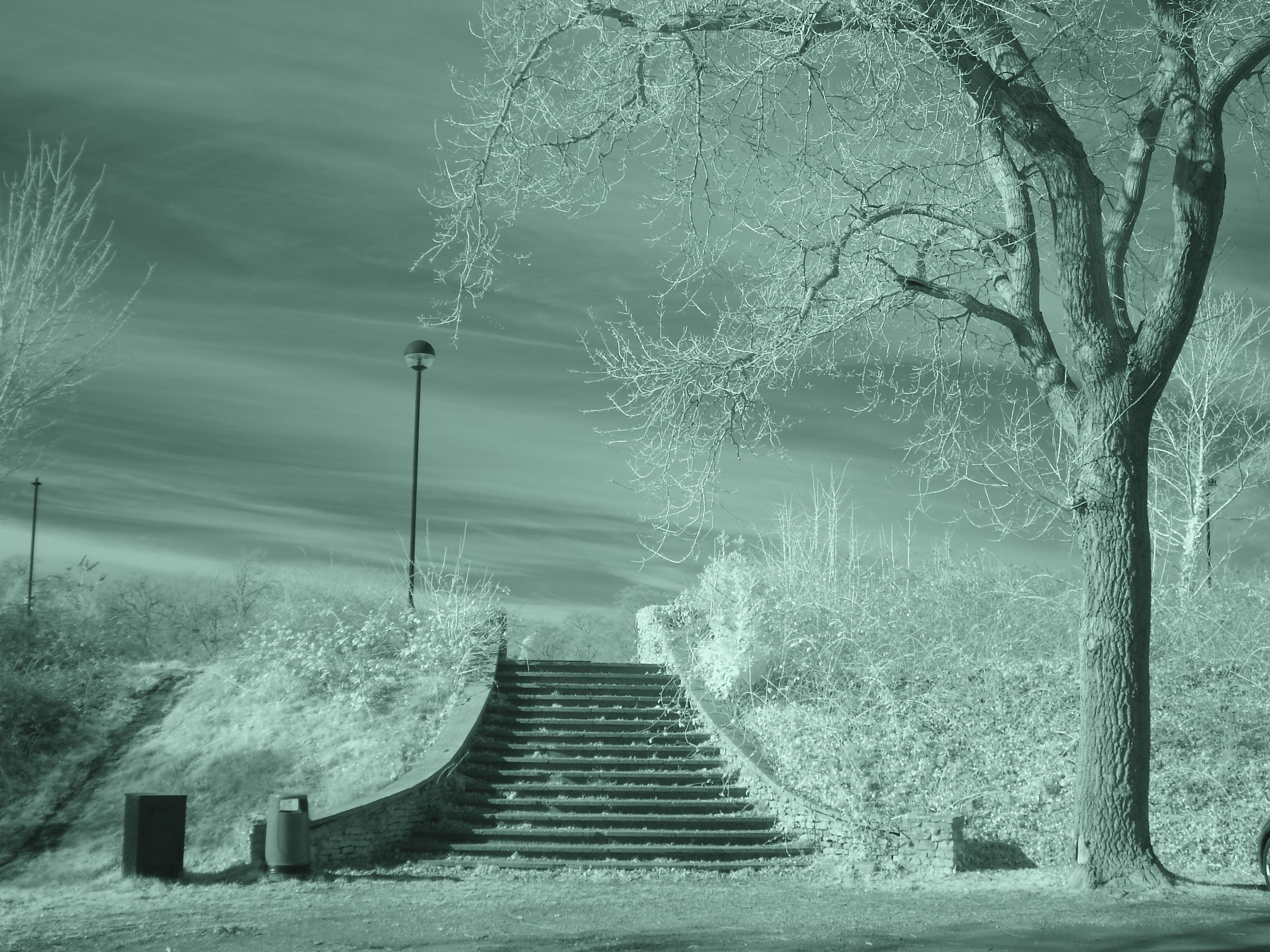 park