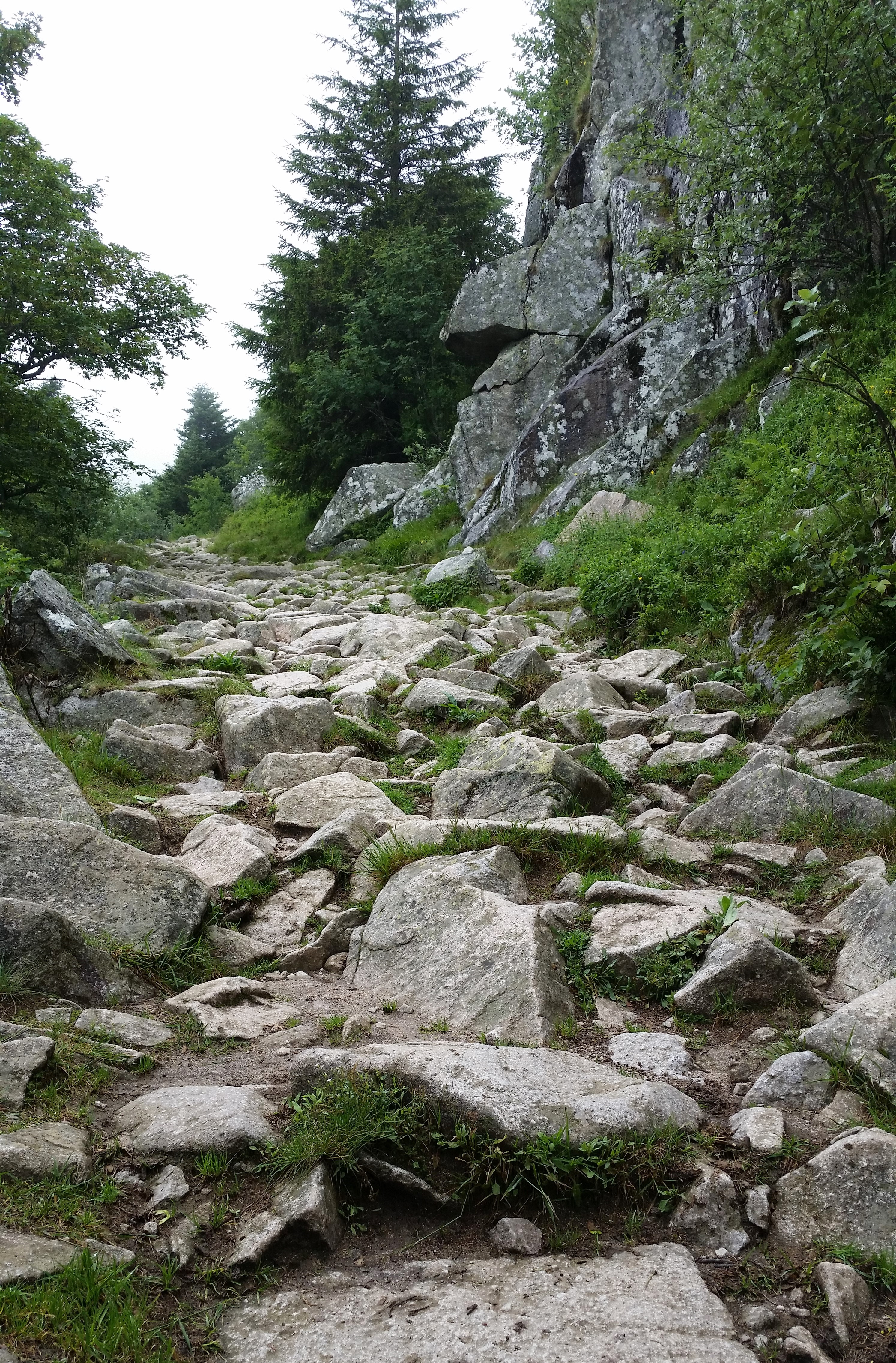 sentier de rochers.jpg