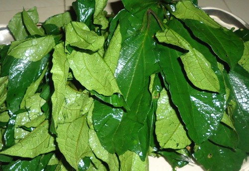 ugwu-vegetable-leaves.jpg