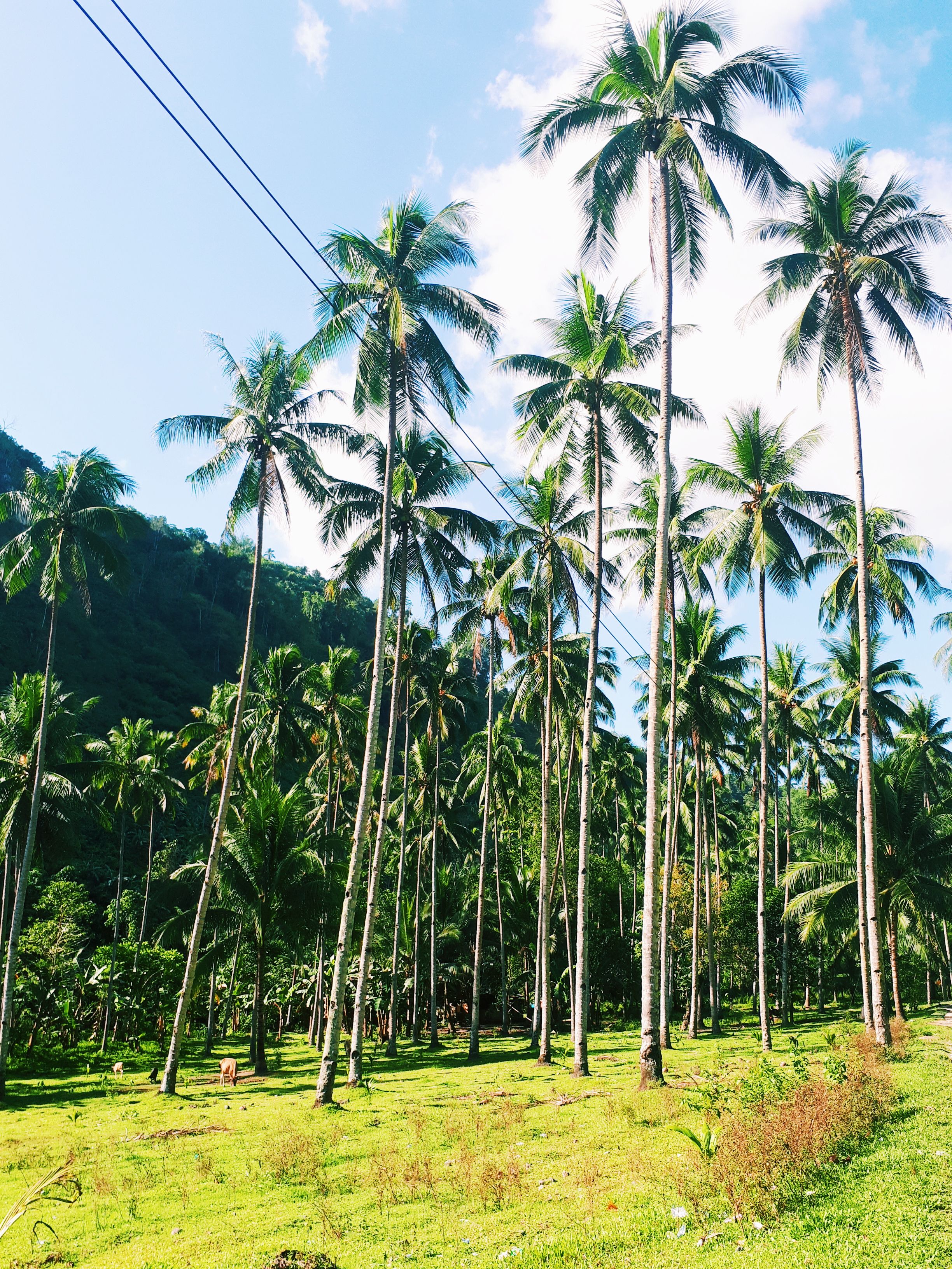 2018-04-22 10.12.12 1.jpg