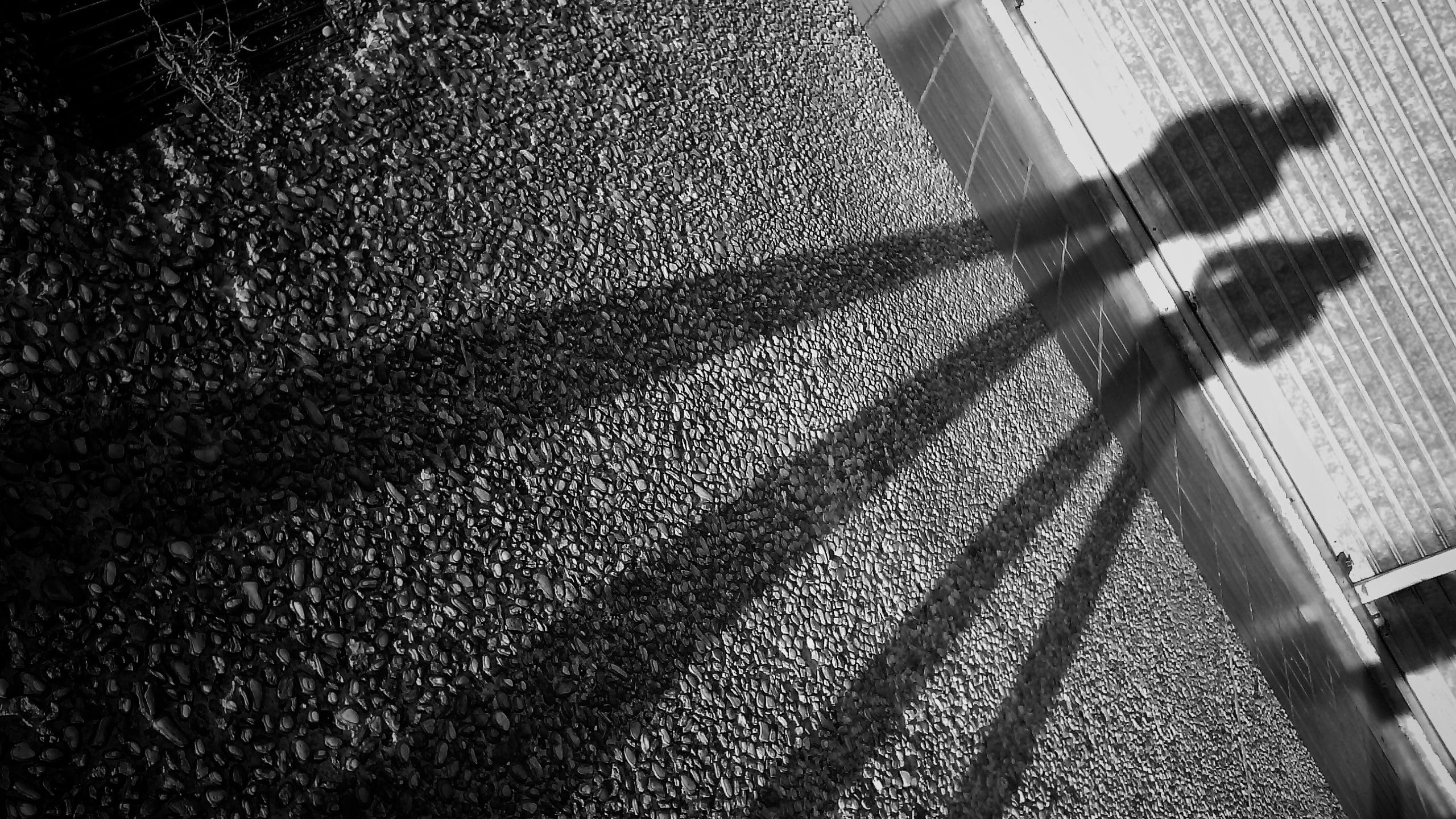 IMG_20170220_071630-01.jpeg