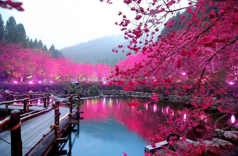 Japan is a country of