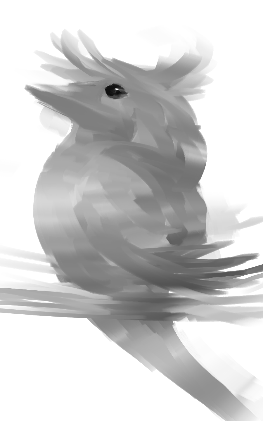 BIRD.png