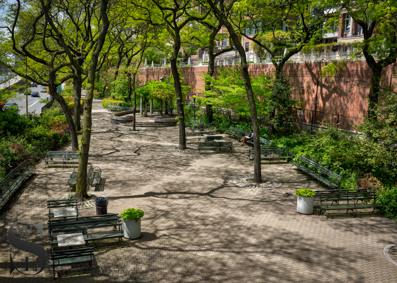 Wednesday walk Peter Detmold Park (4 of 5).jpg