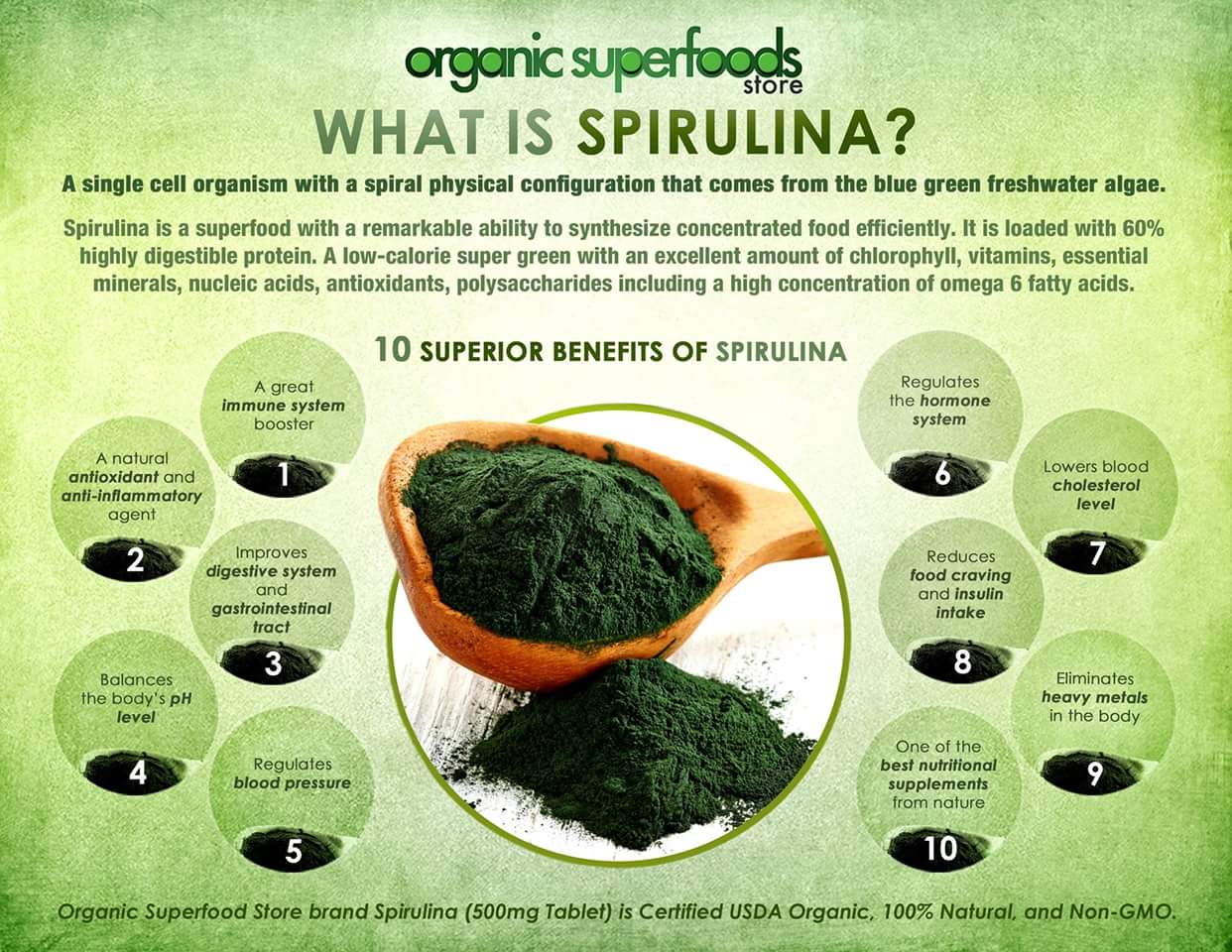 SPIRULINA The complete Food For Everyone Steemit