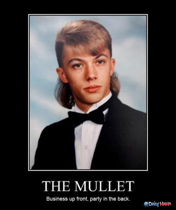 The-mullet-business-up-front-party-Mullet-Meme.jpg