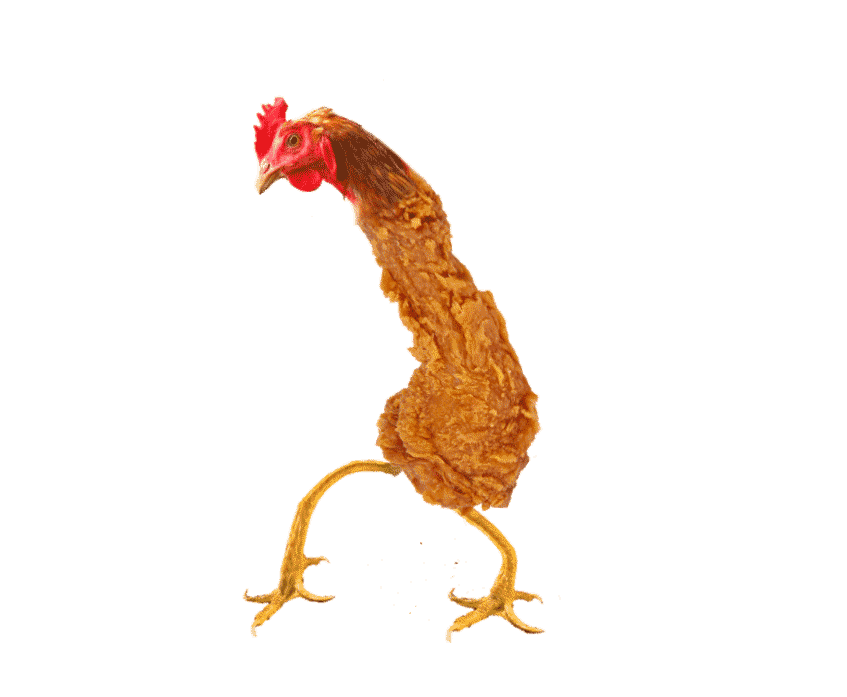 chicken_dance.gif