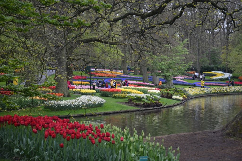 Keukenhof Tulip Garden