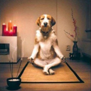 meditate.jpg