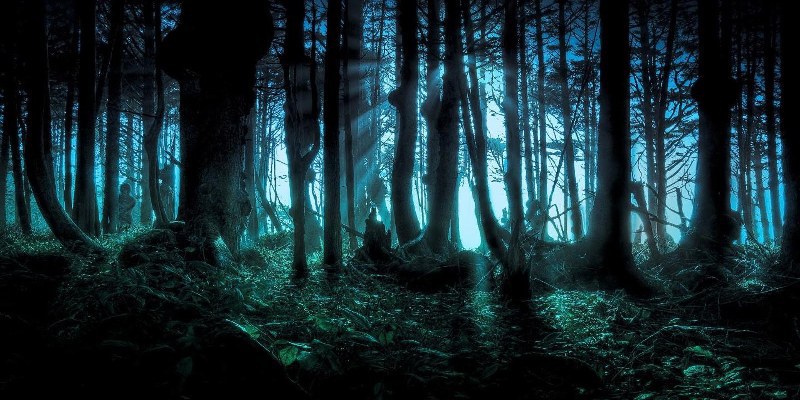 terror-bosque_800x400.jpg