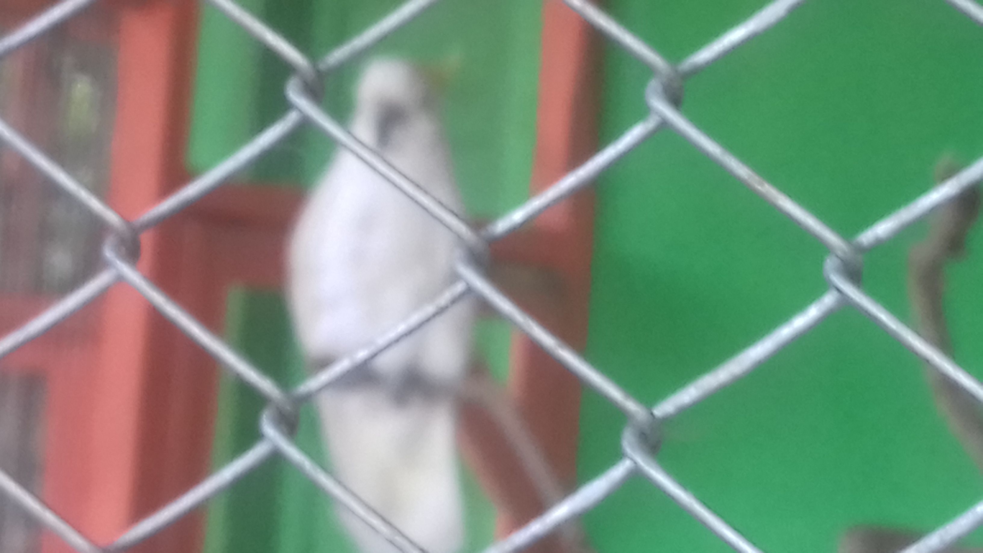 20171225_144639.jpg