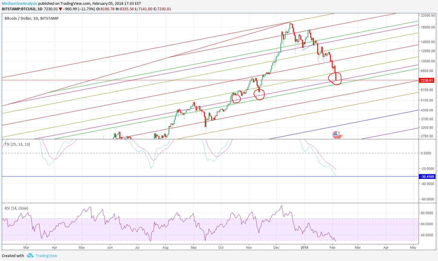 Btc FEB 5 INTERMEDIARY BOTTOM.png