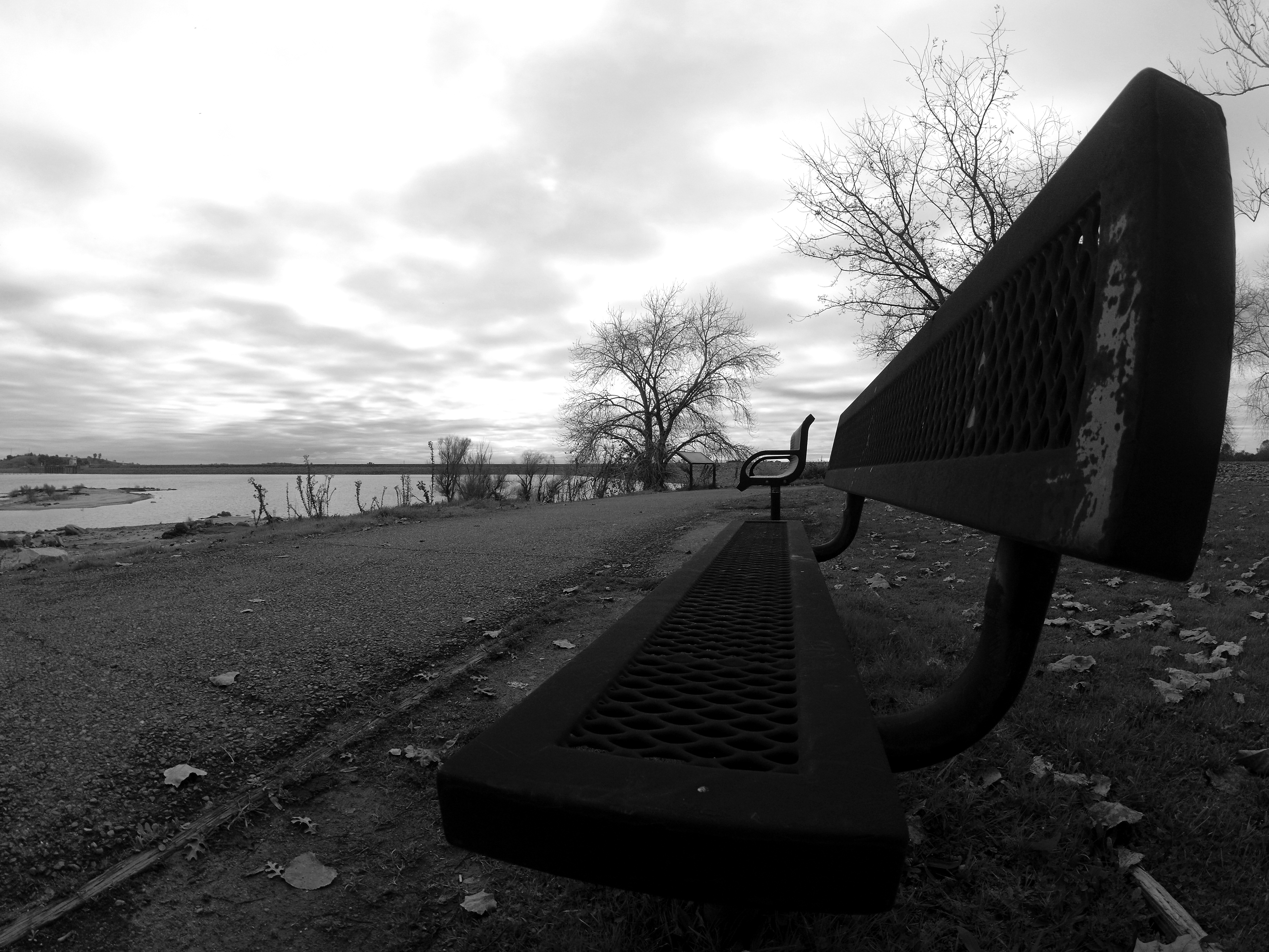YIAC0601-bw-day-front-row-seats-#148.jpg