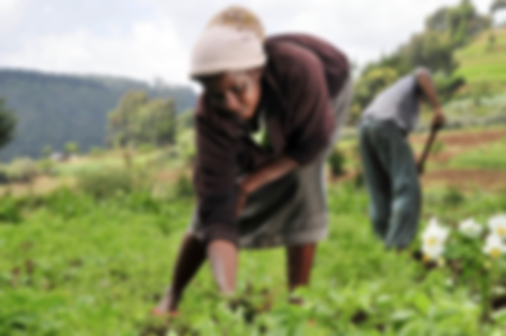 1024px-Woman_farmer_in_Kenya blur.jpg