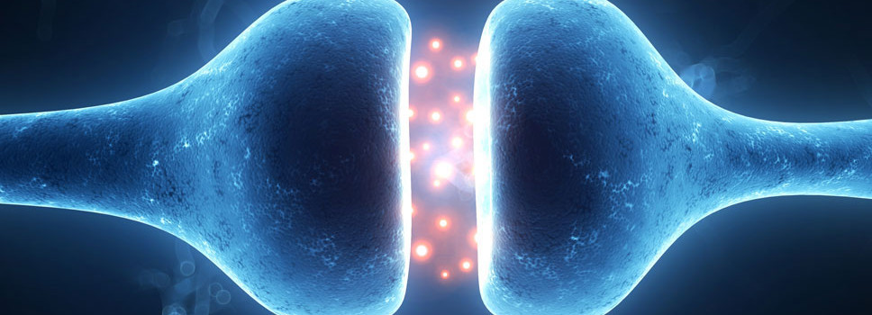 cannabanoid-receptors-968x350.jpg