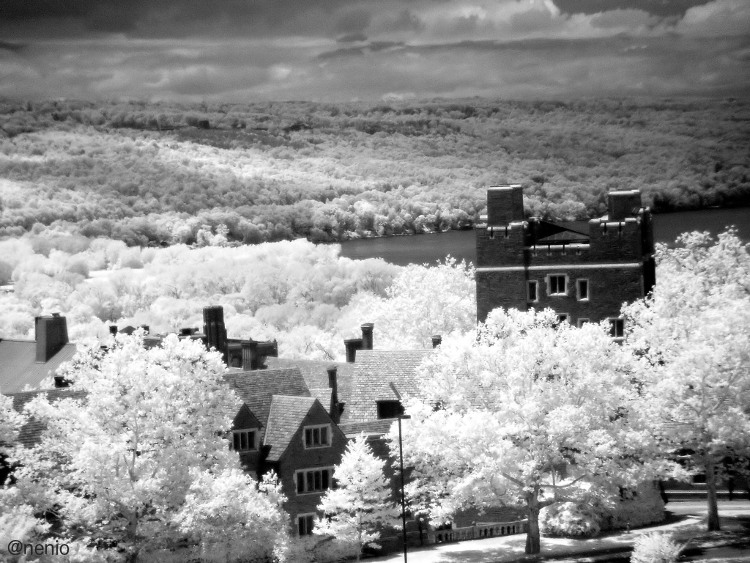 cornell-ir-01.jpg