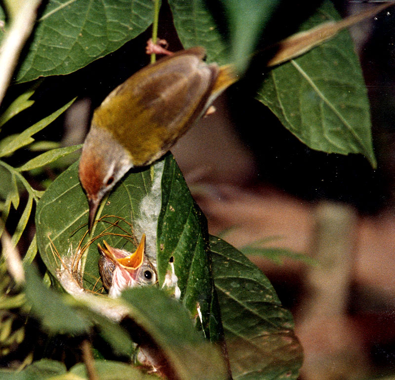 ~lwf0027.jpg