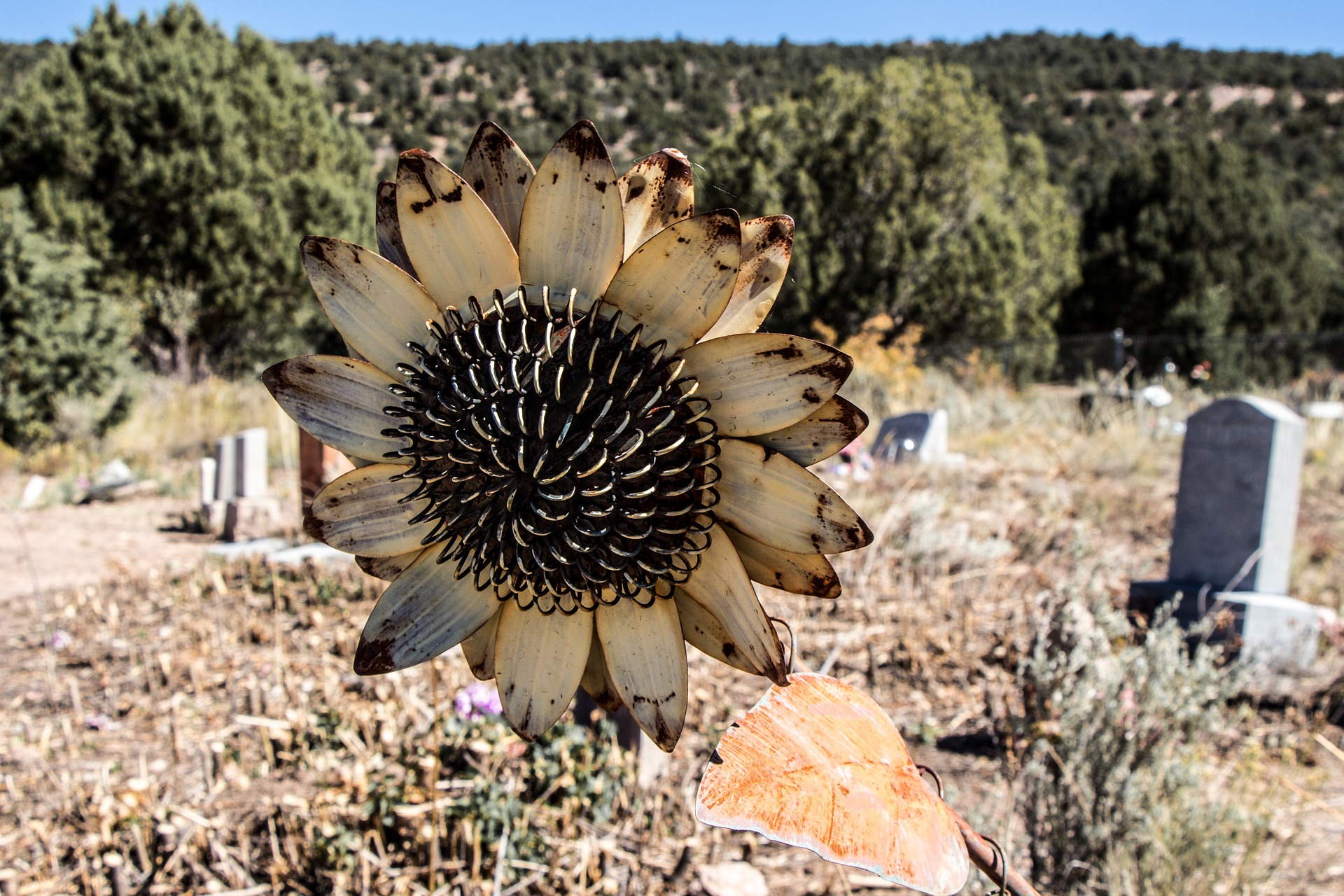 cemetery-1697534_1920.jpg