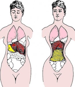 waist-training-organ-smushing--260x300.jpg