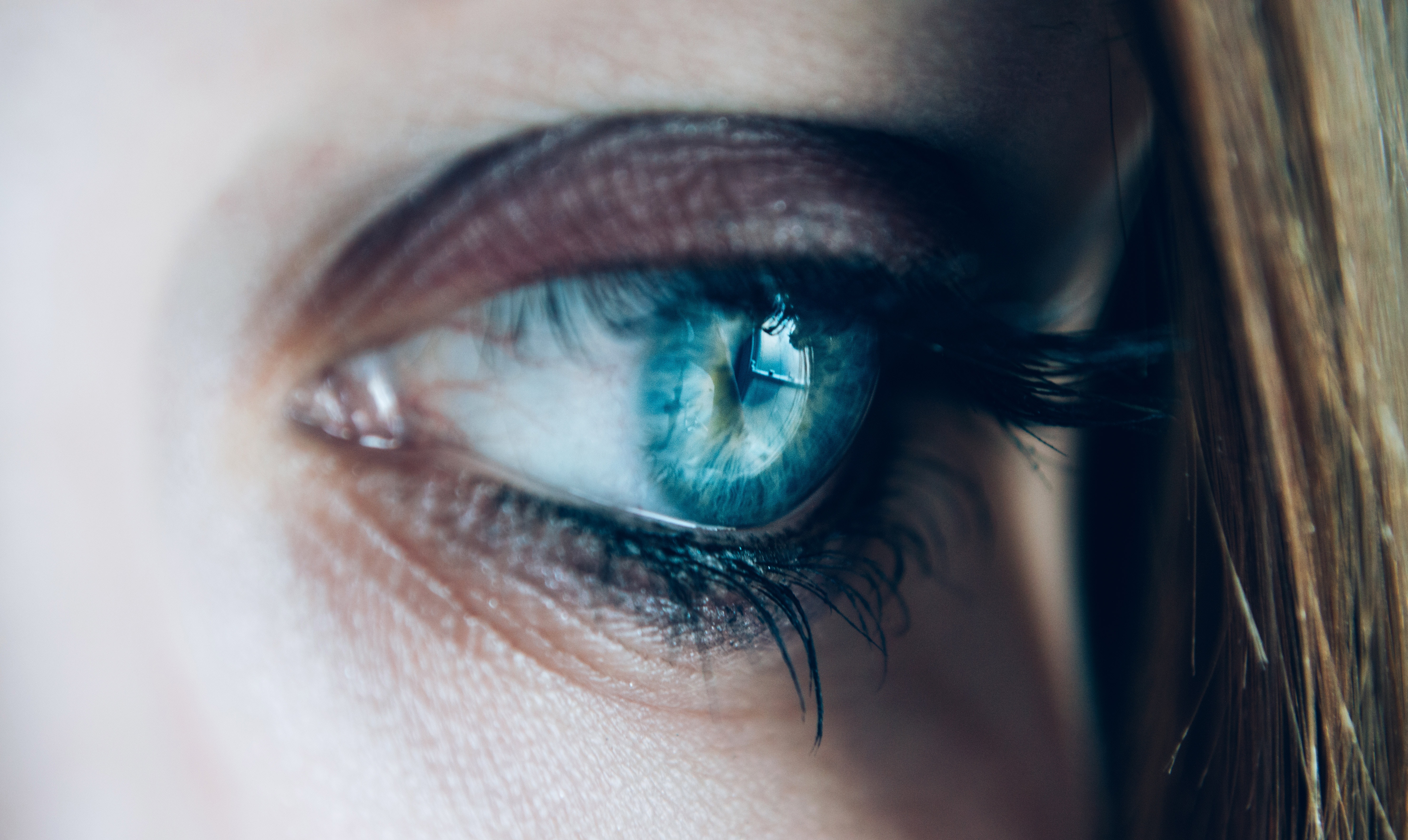close-up-eye-eyelashes-110321.jpg