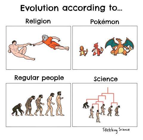 evolución.jpg