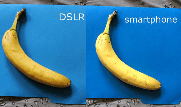 banana-test-.png