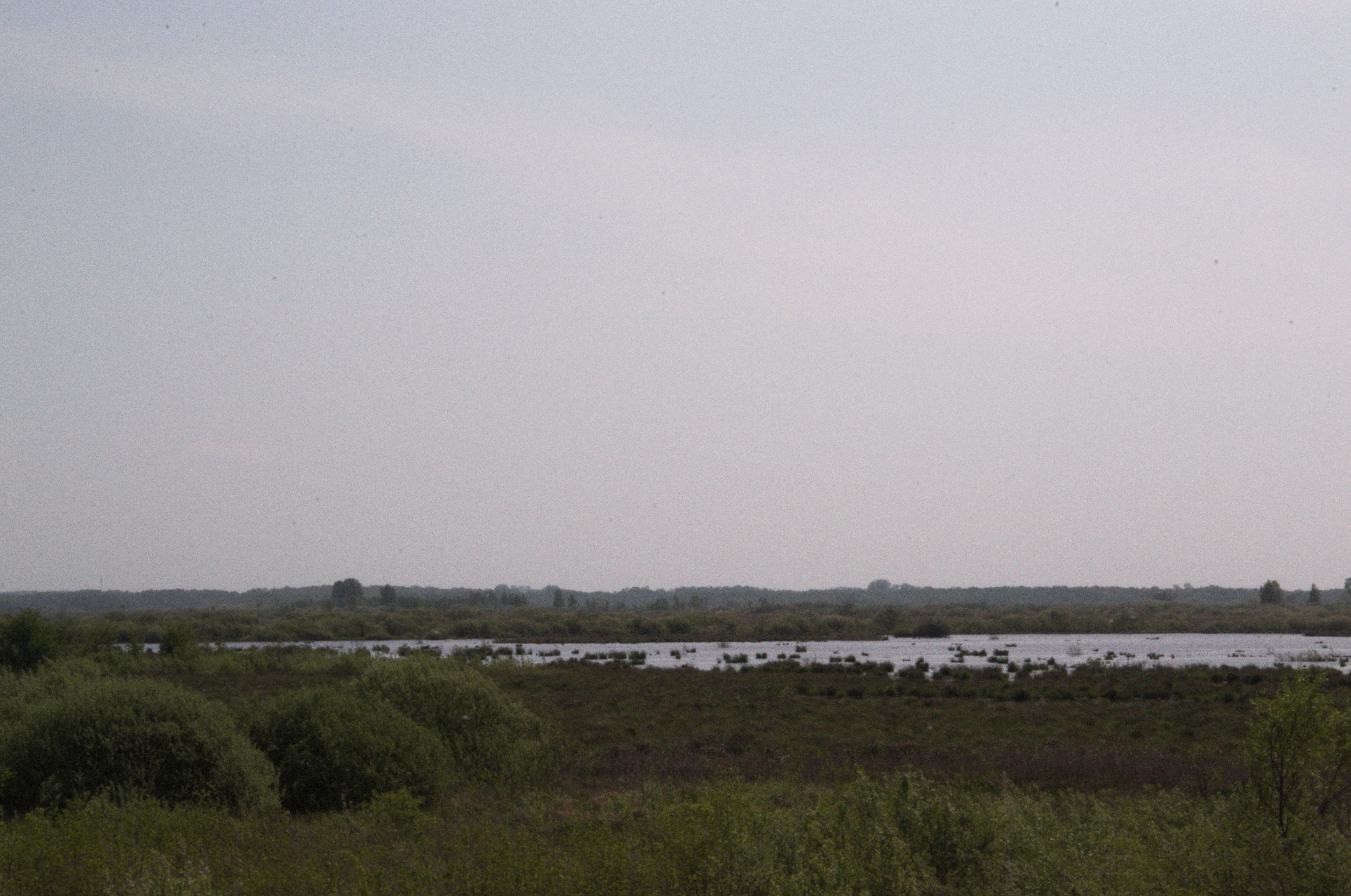 DSC_0311.jpg