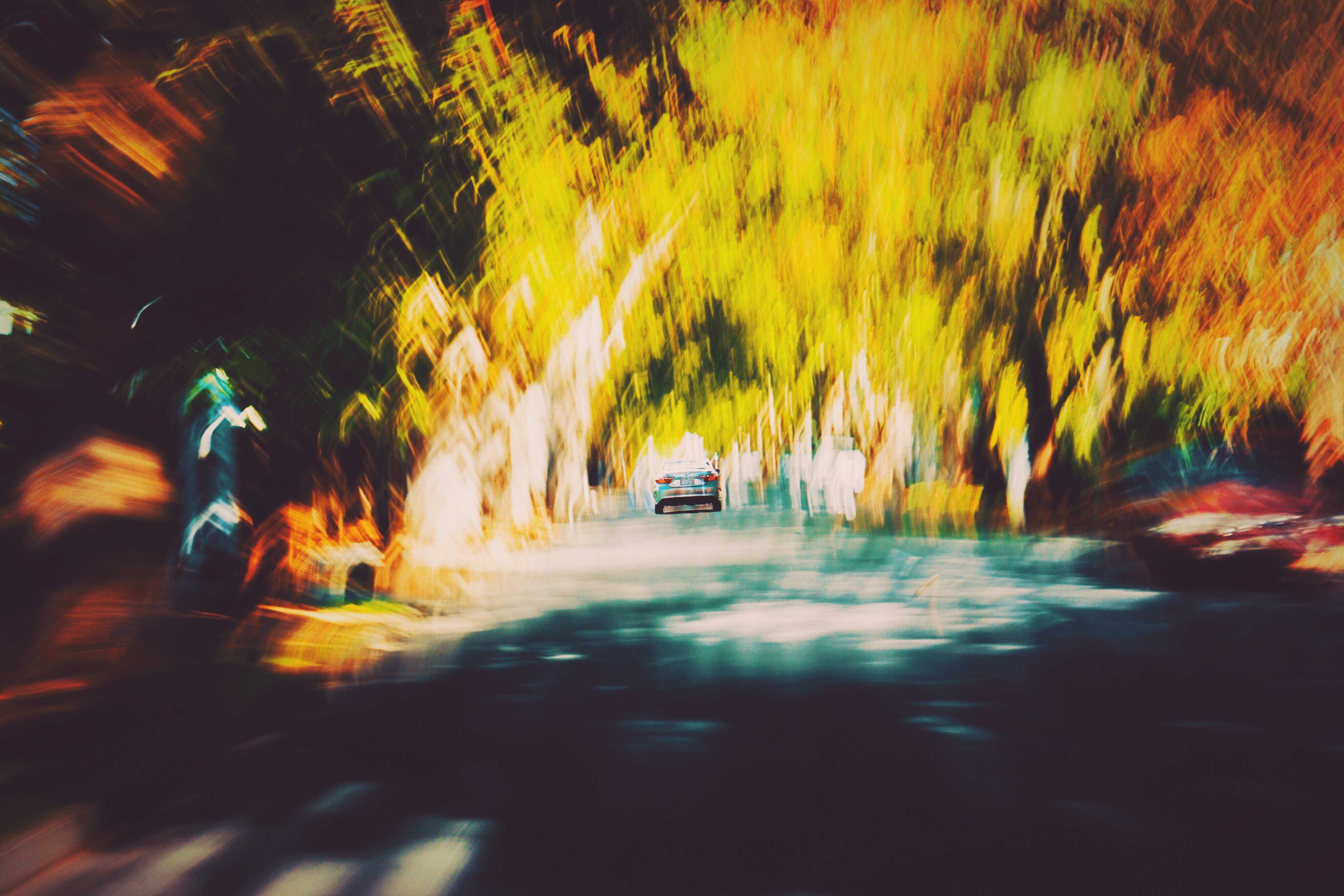 84A864F6-3FAA-4526-A01A-EB7548253708.jpeg