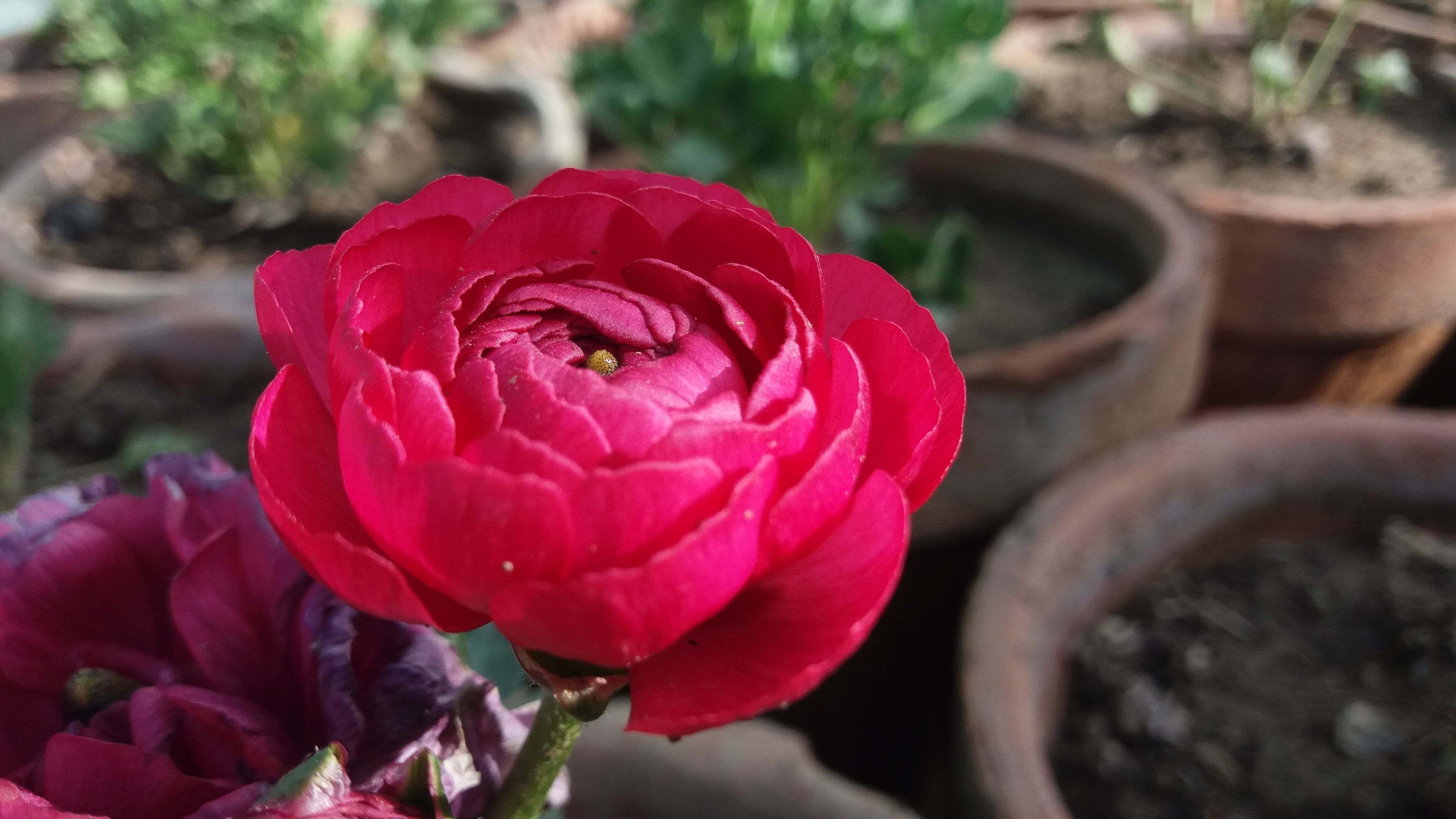20180223_092958.jpg