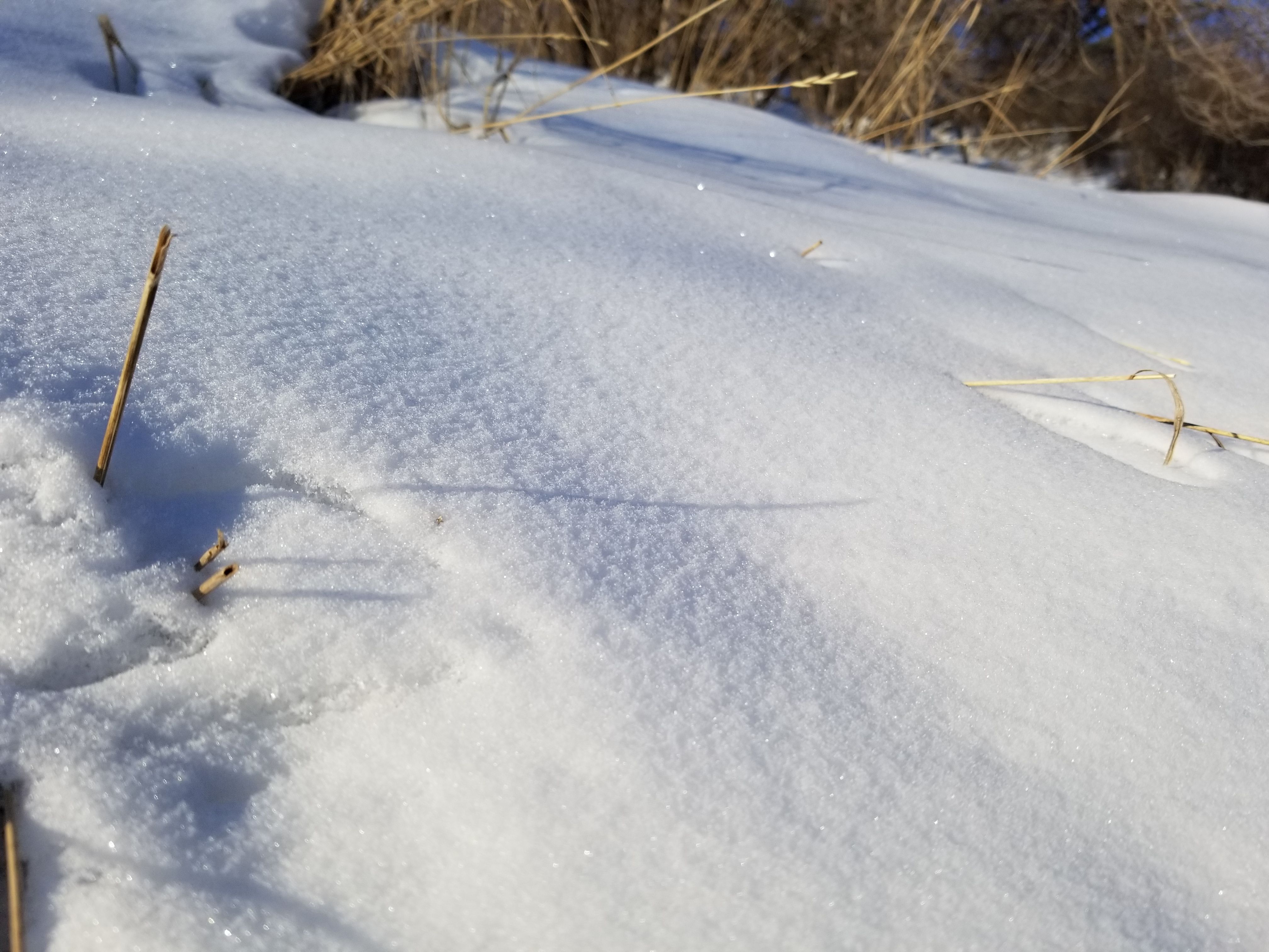 20180220_162817.jpg