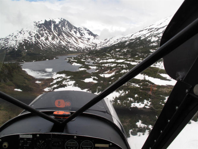 Cockpit_view_Piper_Pa18_Super_cub.jpg