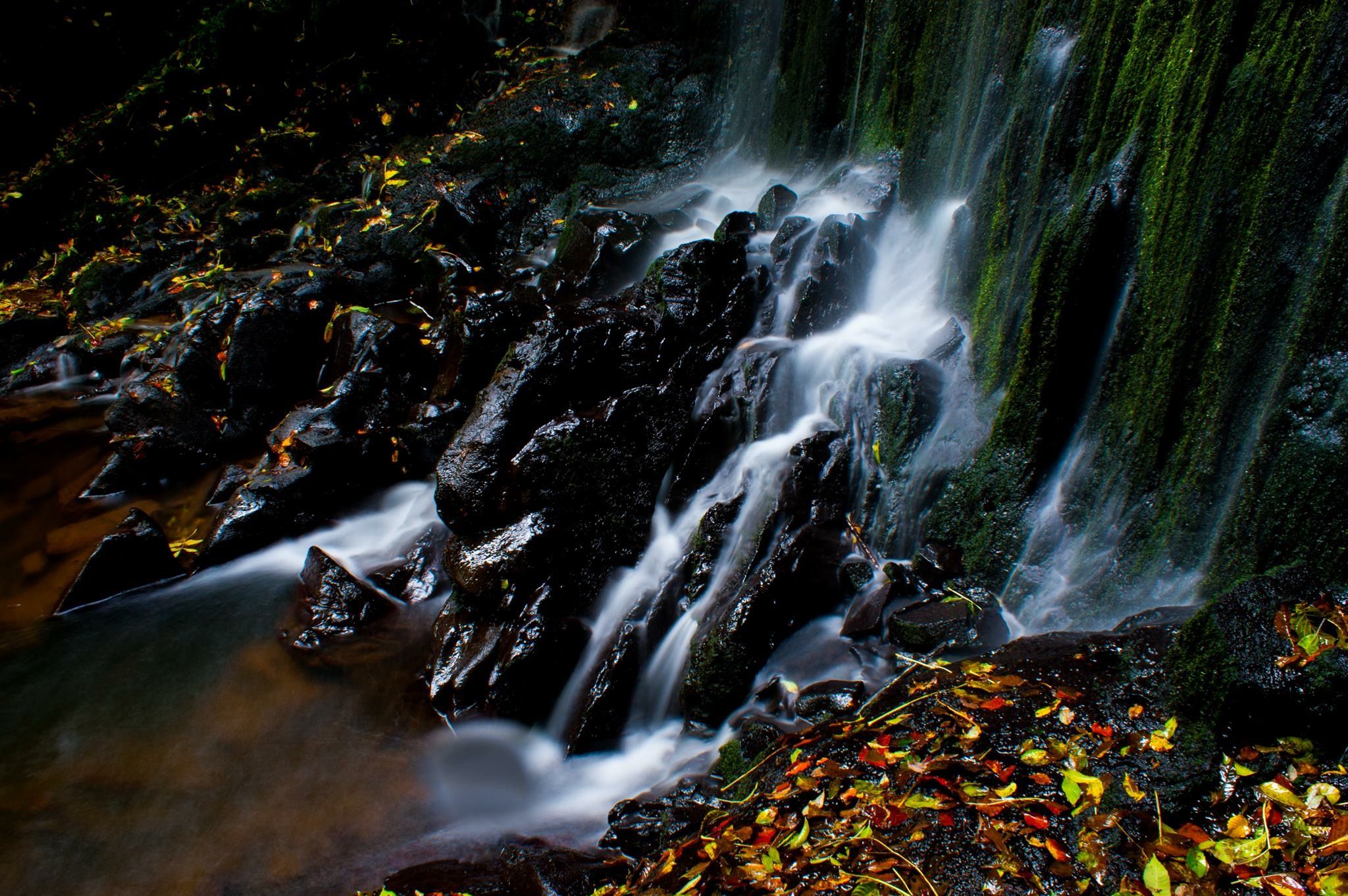 Hidden Waterfall at Bontanic Gardens - By Steve J Huggett.JPG