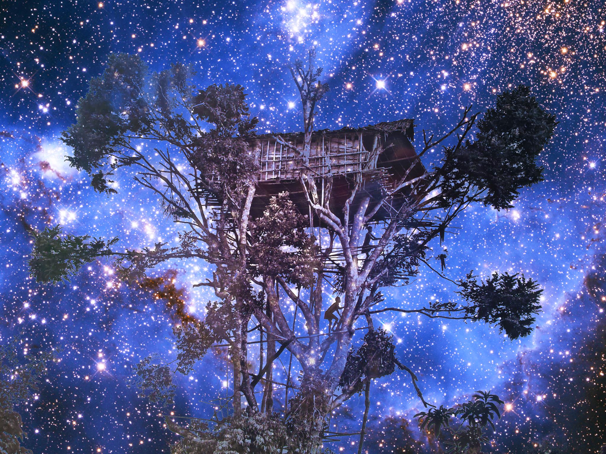 Salgado tree house at night.jpg