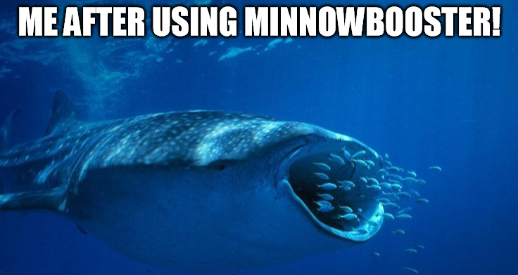 minnow.png