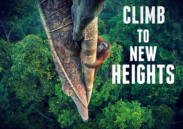new heights.jpg