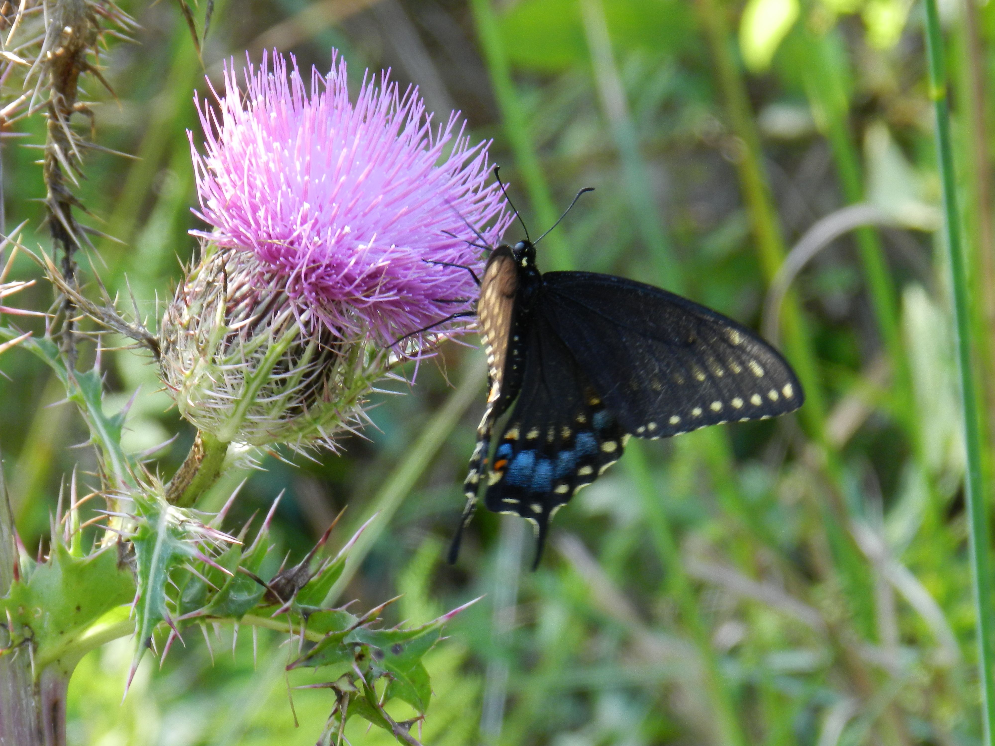 DSCN3489.JPG