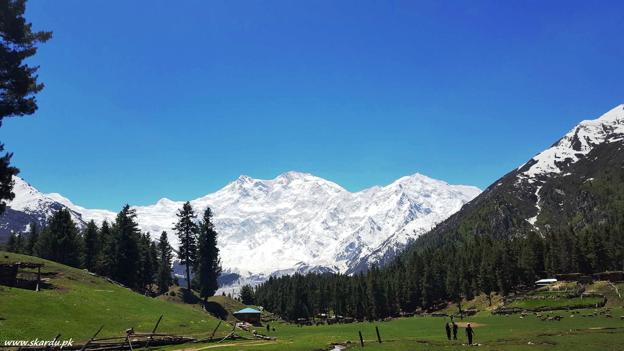 Nanga-Parbat.jpg