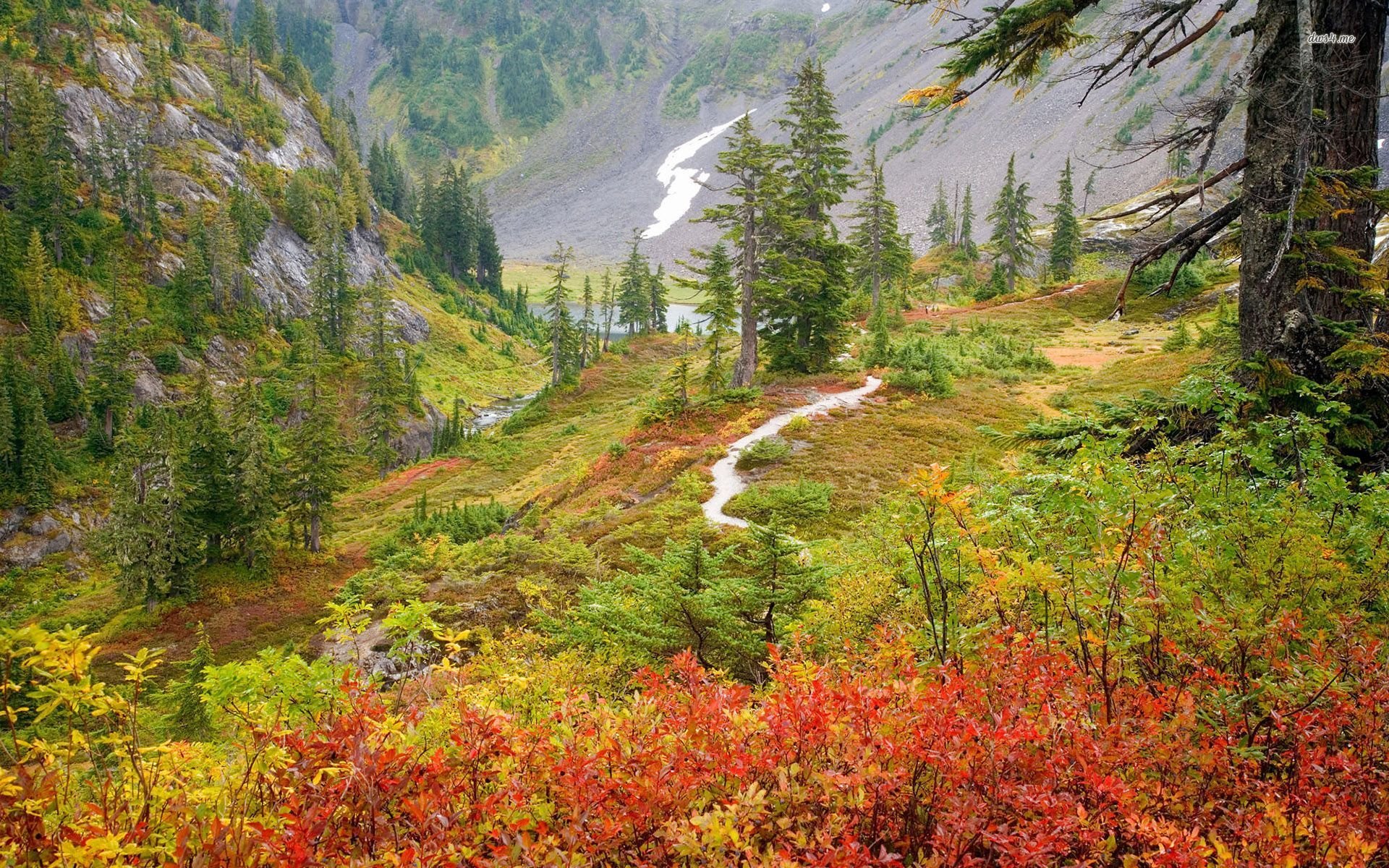 mountain-meadow-autumn-fall.jpg