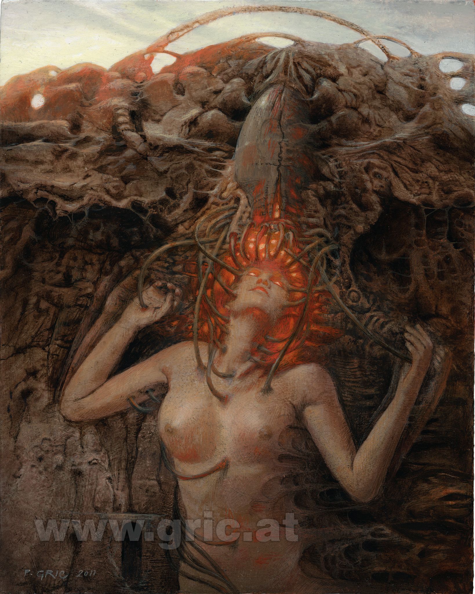 240 Sedierte Medusa.jpg