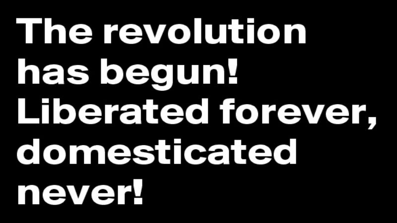 The-revolution-has-begun-Liberated-forever-domesti.jpg