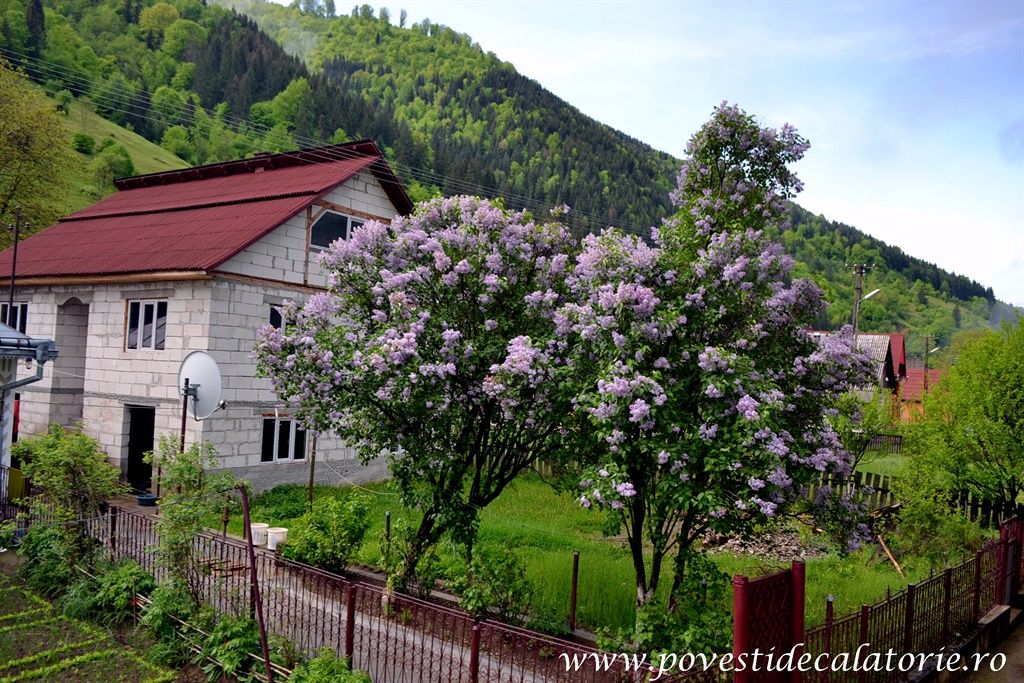 Maramures-Scorilo-731.jpg