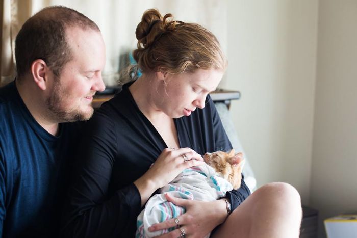 cat-birth-photoshoot-lucy-schultz-11-5a5dad1c27a43__700.jpg