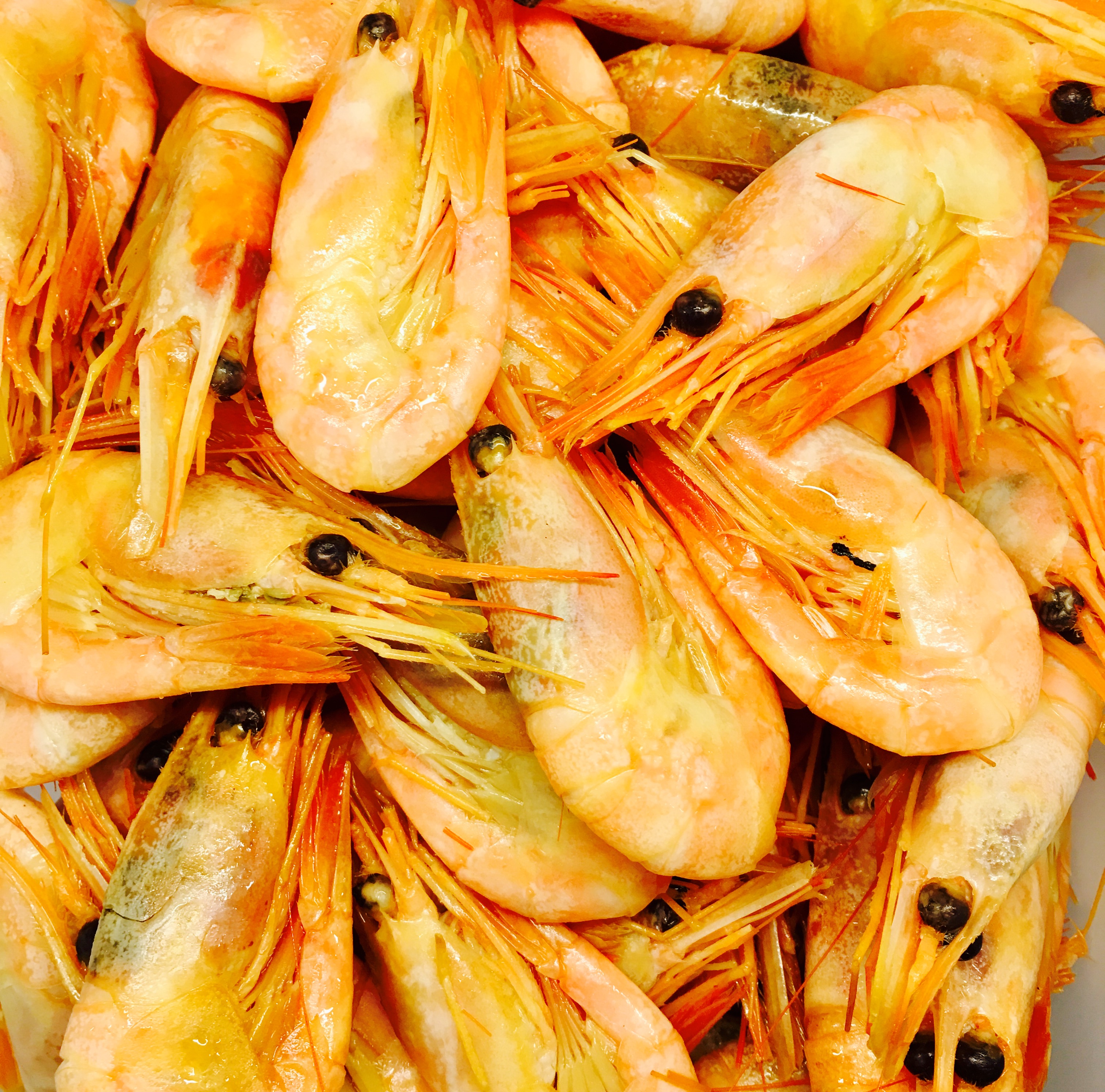 Prawns Top.jpg